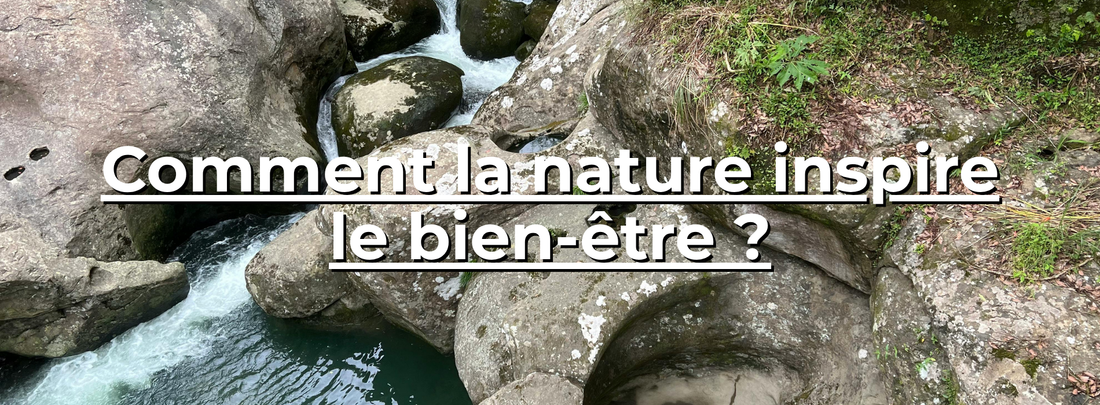 Rivière claire et pierres naturelles entourées de végétation verte