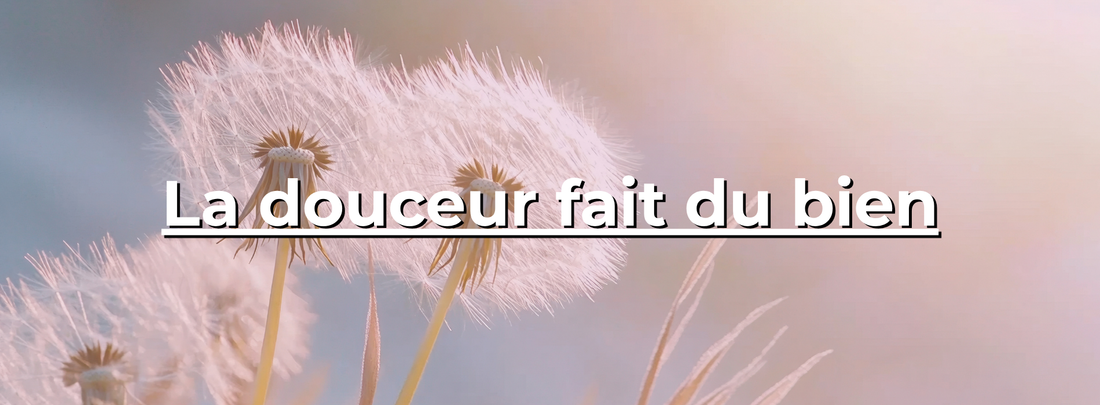 Fleurs de pissenlit en gros plan avec lumière douce et arrière-plan pastel