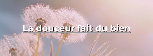 Fleurs de pissenlit en gros plan avec lumière douce et arrière-plan pastel