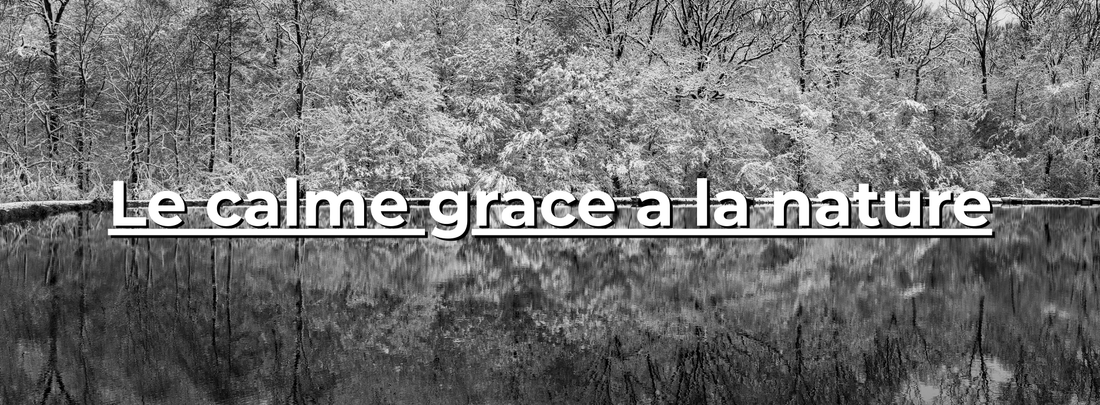 Forêt enneigée reflétée dans un lac calme en noir et blanc