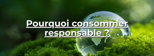 Globe en verre sur mousse verte avec texte Pourquoi consommer responsable en blanc
