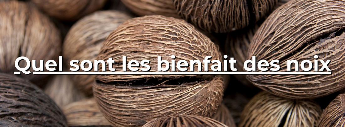 Quel sont les bienfait des noix